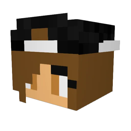 Stephenie_34 Minecraft avatar head, 3D render