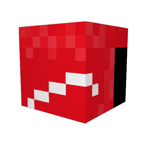 Stephens_Vlogs Minecraft avatar head, 3D render