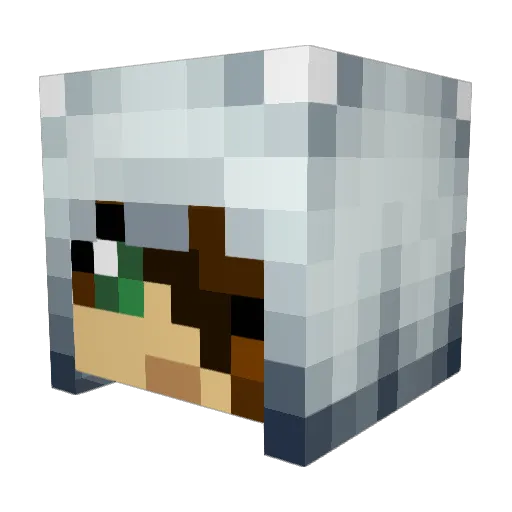 Stephie12 Minecraft avatar head, 3D render