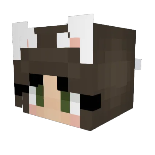 Stephiieee04 Minecraft avatar head, 3D render