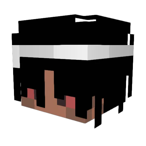 StephonnCastle Minecraft avatar head, 3D render