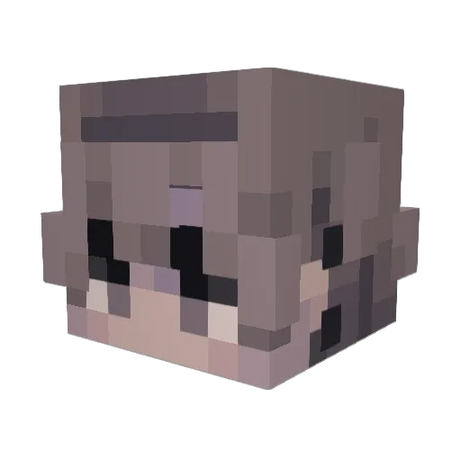 Stephqn Minecraft avatar head, 3D render