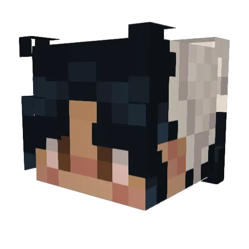 Stephx10 Minecraft avatar head, 3D render