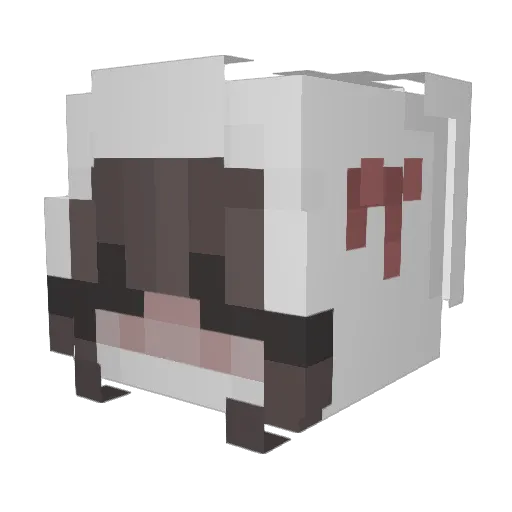 Stephz_ Minecraft avatar head, 3D render