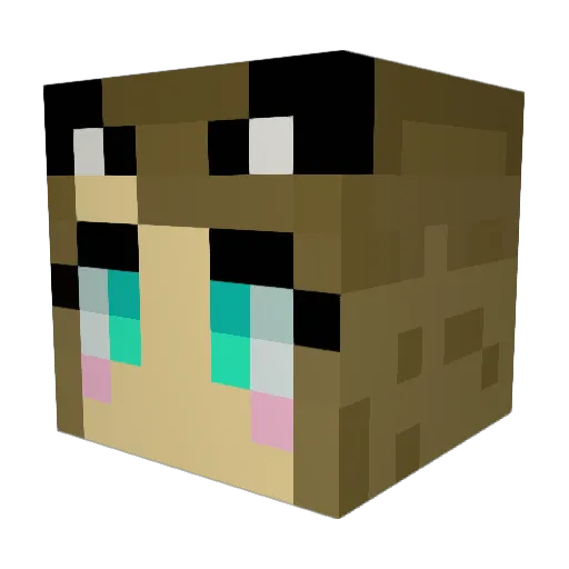 Steppken Minecraft avatar head, 3D render