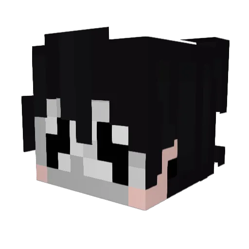 Sterling27348 Minecraft avatar head, 3D render