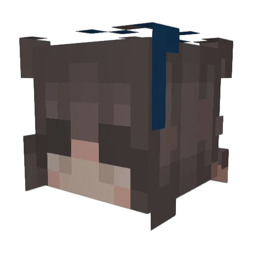 SterlingBand865 Minecraft avatar head, 3D render