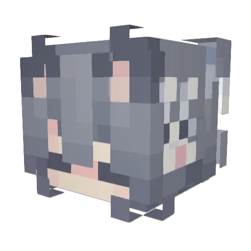 Sterlongg Minecraft avatar head, 3D render