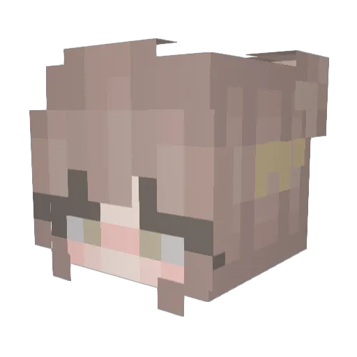 SternalBadge29 Minecraft avatar head, 3D render