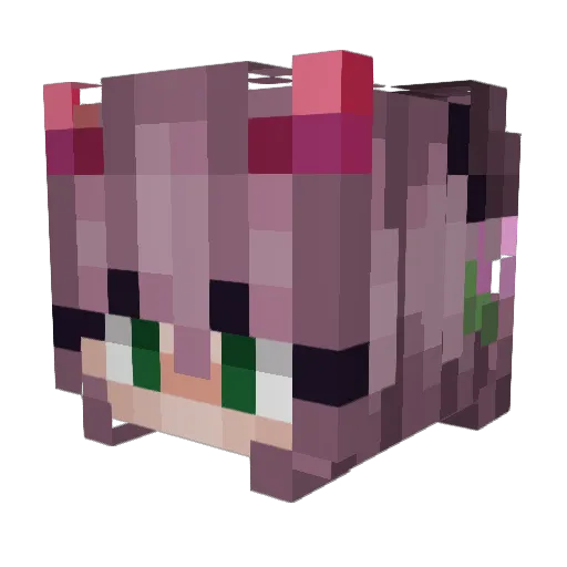 Sternenranke Minecraft avatar head, 3D render