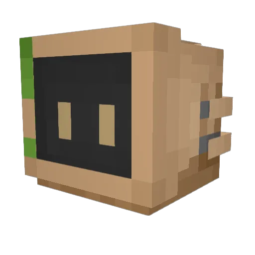 Sternensim Minecraft avatar head, 3D render