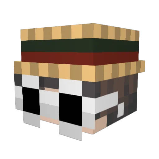 Sternenzelt666 Minecraft avatar head, 3D render