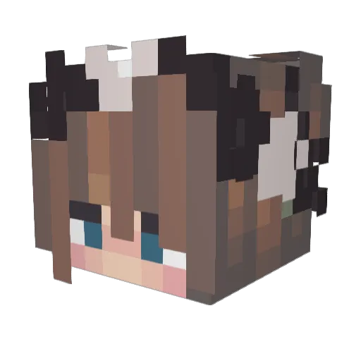 SterniSchnuppe Minecraft avatar head, 3D render