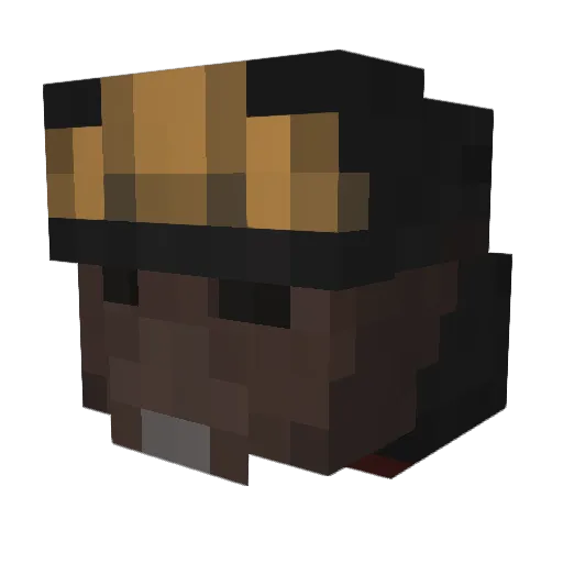 Sternorrhyncha Minecraft avatar head, 3D render