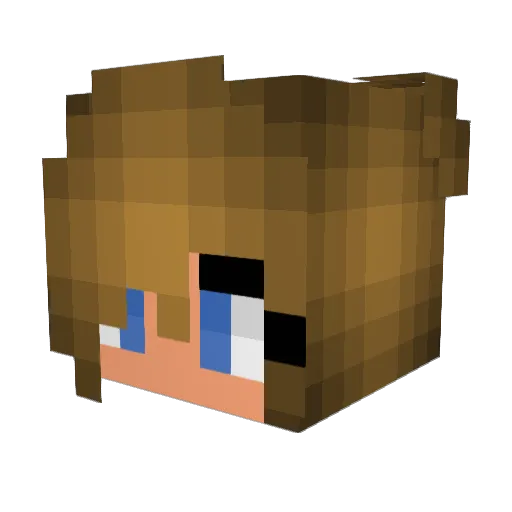 Sterre2008 Minecraft avatar head, 3D render