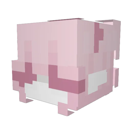 Stertina Minecraft avatar head, 3D render
