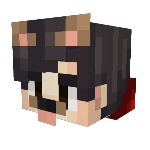 Stev0se Minecraft avatar head, 3D render
