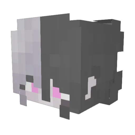 Stevder Minecraft avatar head, 3D render