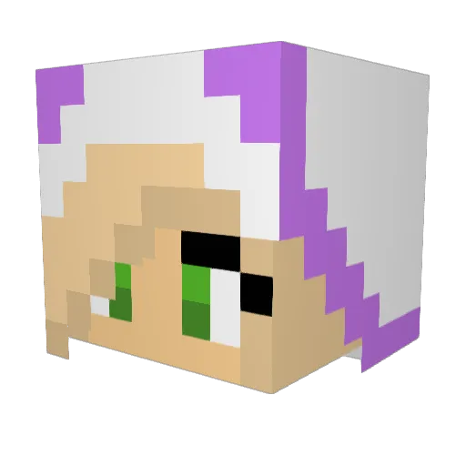 SteveBeef_98 Minecraft avatar head, 3D render