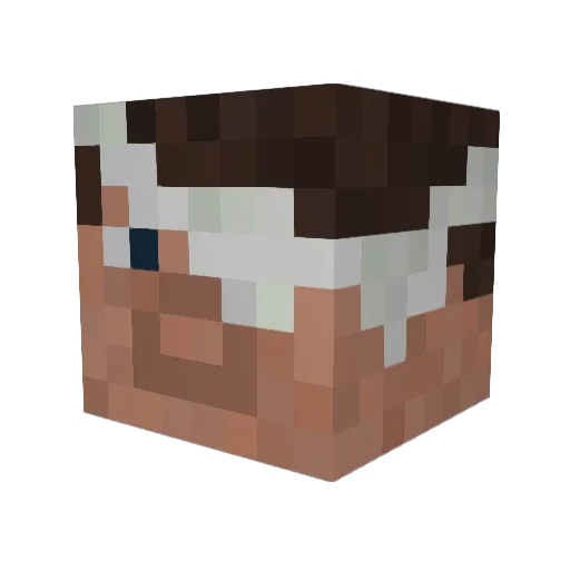 SteveDude42 Minecraft avatar head, 3D render