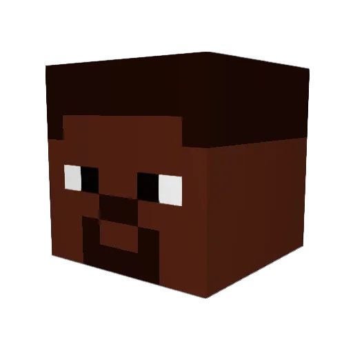 SteveG17 Minecraft avatar head, 3D render