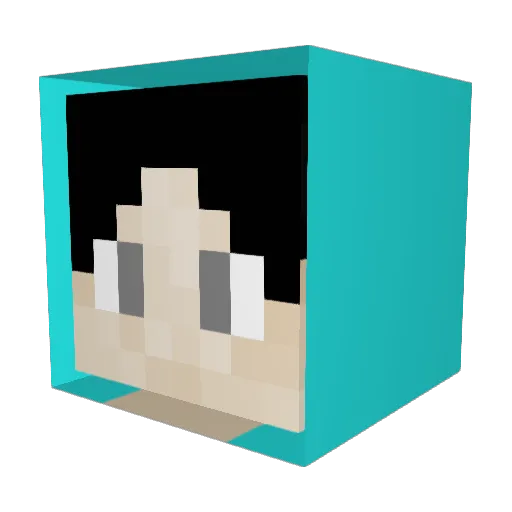 SteveGamerr12 Minecraft avatar head, 3D render