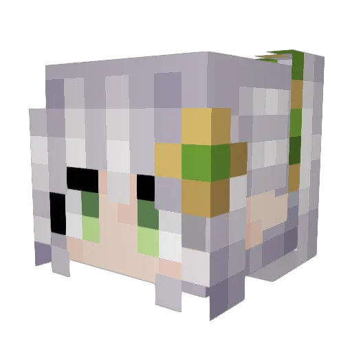 SteveNotSet Minecraft avatar head, 3D render