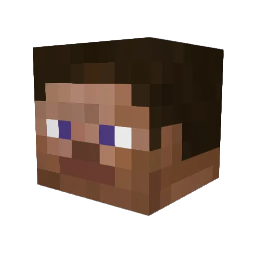 StevePlayer64 Minecraft avatar head, 3D render