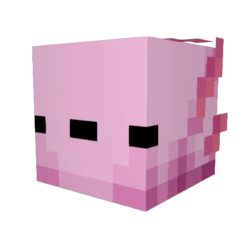 StevePotato8110 Minecraft avatar head, 3D render