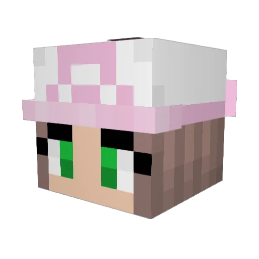 SteveRabbits Minecraft avatar head, 3D render