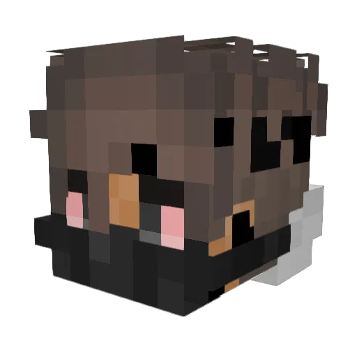 SteveRogerinBR Minecraft avatar head, 3D render