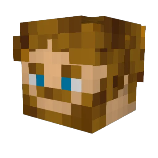 SteveStar91 Minecraft avatar head, 3D render