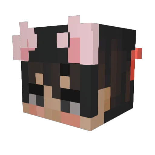 SteveUnlimited Minecraft avatar head, 3D render