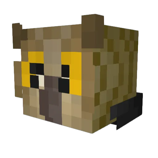 Steve_Cash18916 Minecraft avatar head, 3D render
