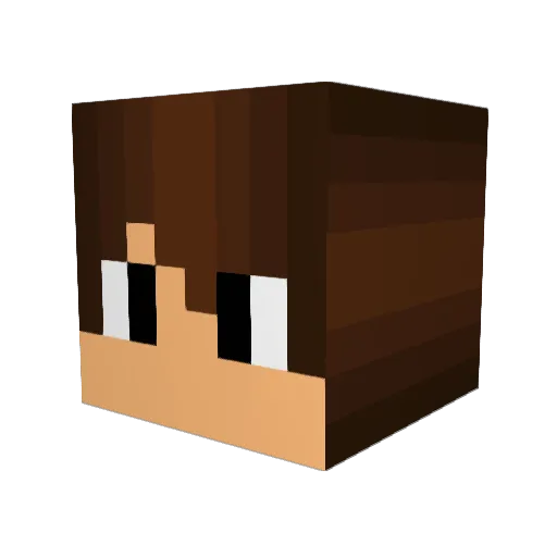 Steve_From_HR Minecraft avatar head, 3D render