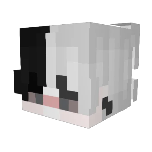 Steve_HD_xD Minecraft avatar head, 3D render