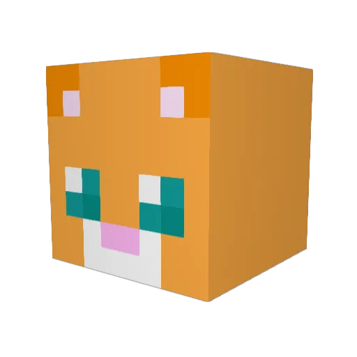 Steve_Jung Minecraft avatar head, 3D render