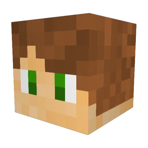 Steve_Rules Minecraft avatar head, 3D render