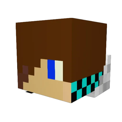 Steve_dude Minecraft avatar head, 3D render