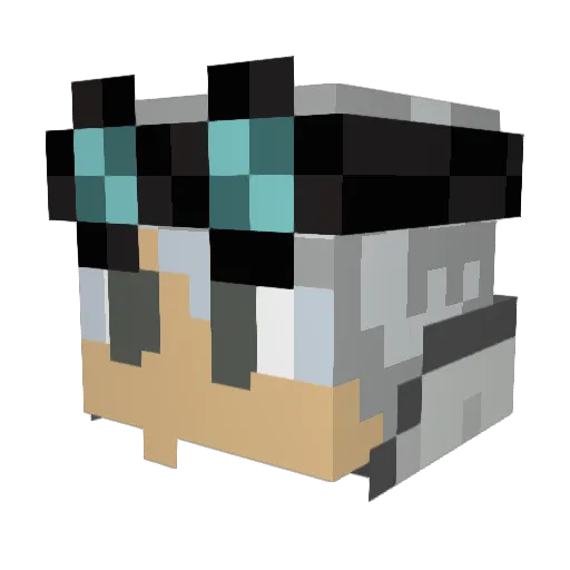 Steveh0481 Minecraft avatar head, 3D render