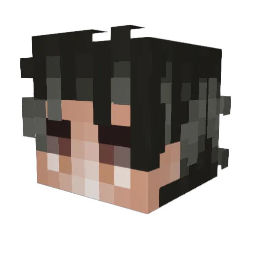 Steven0801 Minecraft avatar head, 3D render