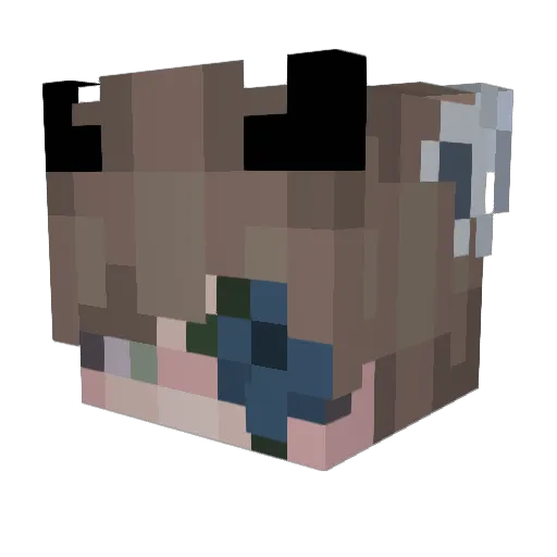 Steven0Shark Minecraft avatar head, 3D render