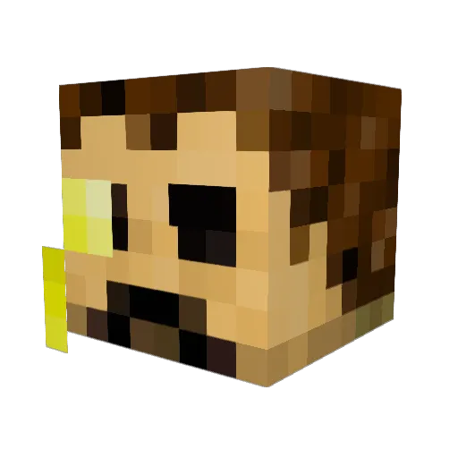StevenDennis Minecraft avatar head, 3D render