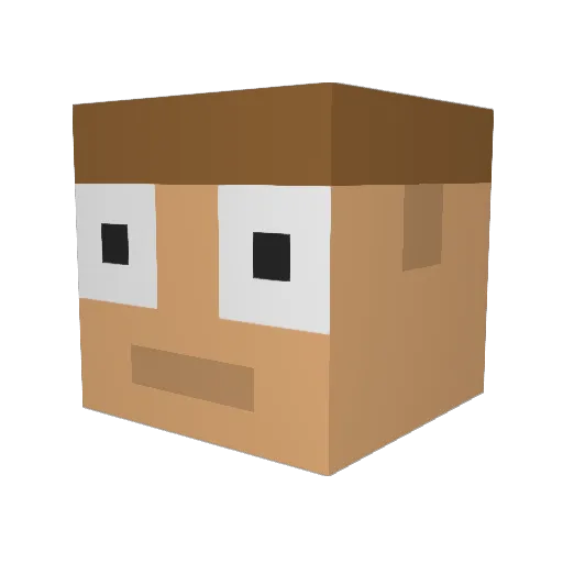 StevenInMedia10 Minecraft avatar head, 3D render