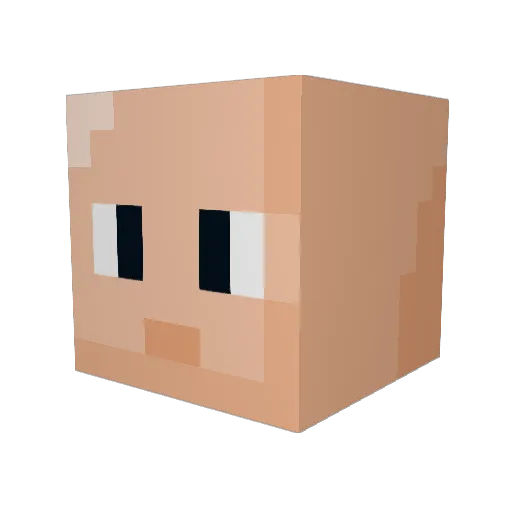 StevenKom1011 Minecraft avatar head, 3D render