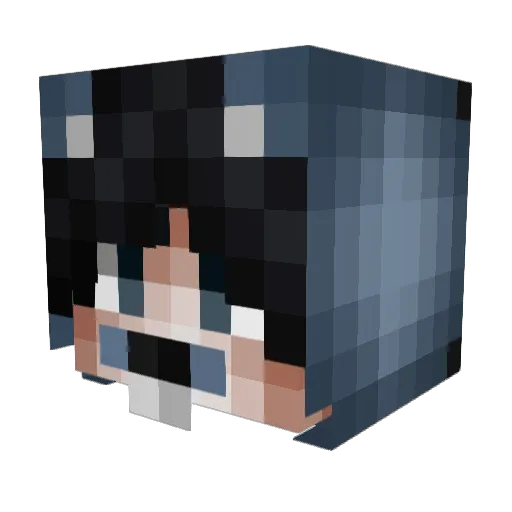 StevenUnivers_ Minecraft avatar head, 3D render