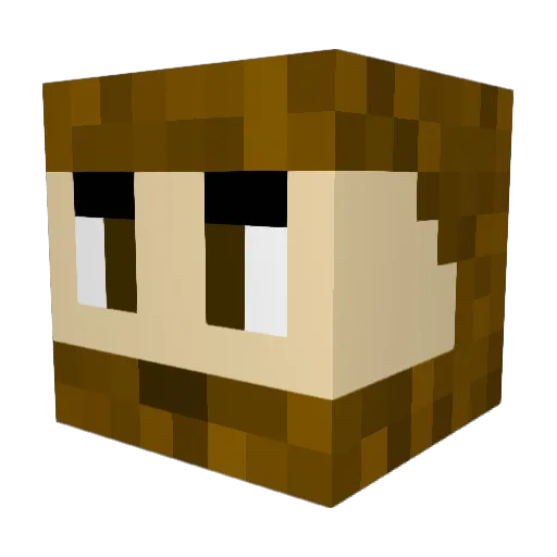 Steven_2577 Minecraft avatar head, 3D render