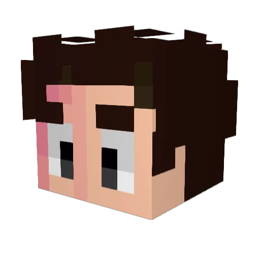 Steven__Universe Minecraft avatar head, 3D render