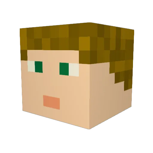 Stevenbelmont Minecraft avatar head, 3D render