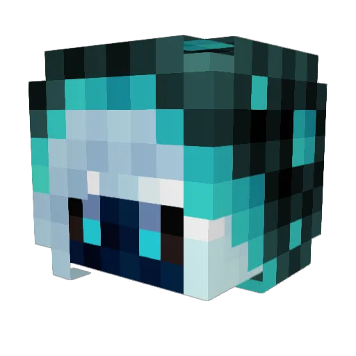 Stevenson00 Minecraft avatar head, 3D render